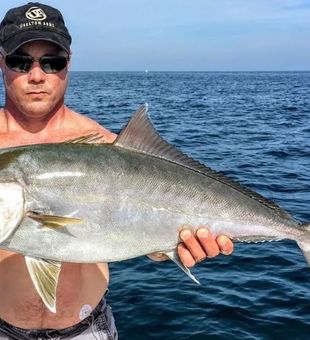 Amberjack in North Fort Myers, FL